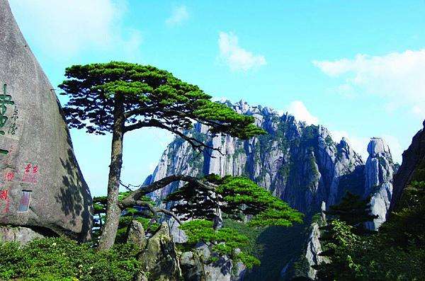 黄山一地双卧4日游