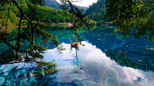 九寨味道双高六日游