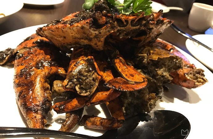 铂金新马七日游