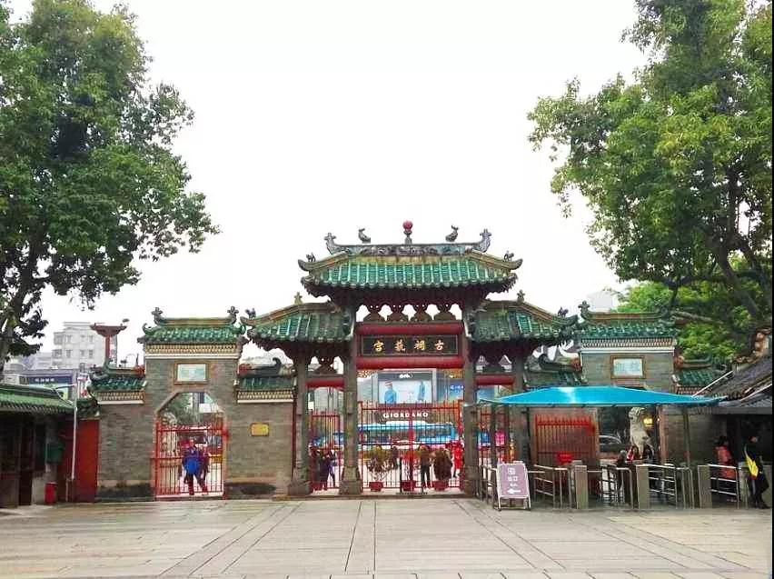 广西巴马长寿乡、德天跨国大瀑布、北海银滩、厦门鼓浪屿、武夷山、佛山祖庙、黄飞鸿纪念馆、港珠澳大桥、黄埔军校、湖南岳阳楼洞庭湖空调专列13日游