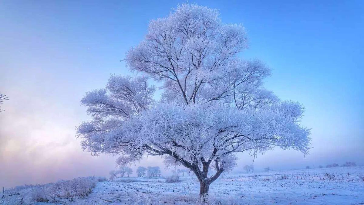 吉林/万科滑雪/长白山/镜泊湖/童话雪乡/雪地温泉/中东铁路桥