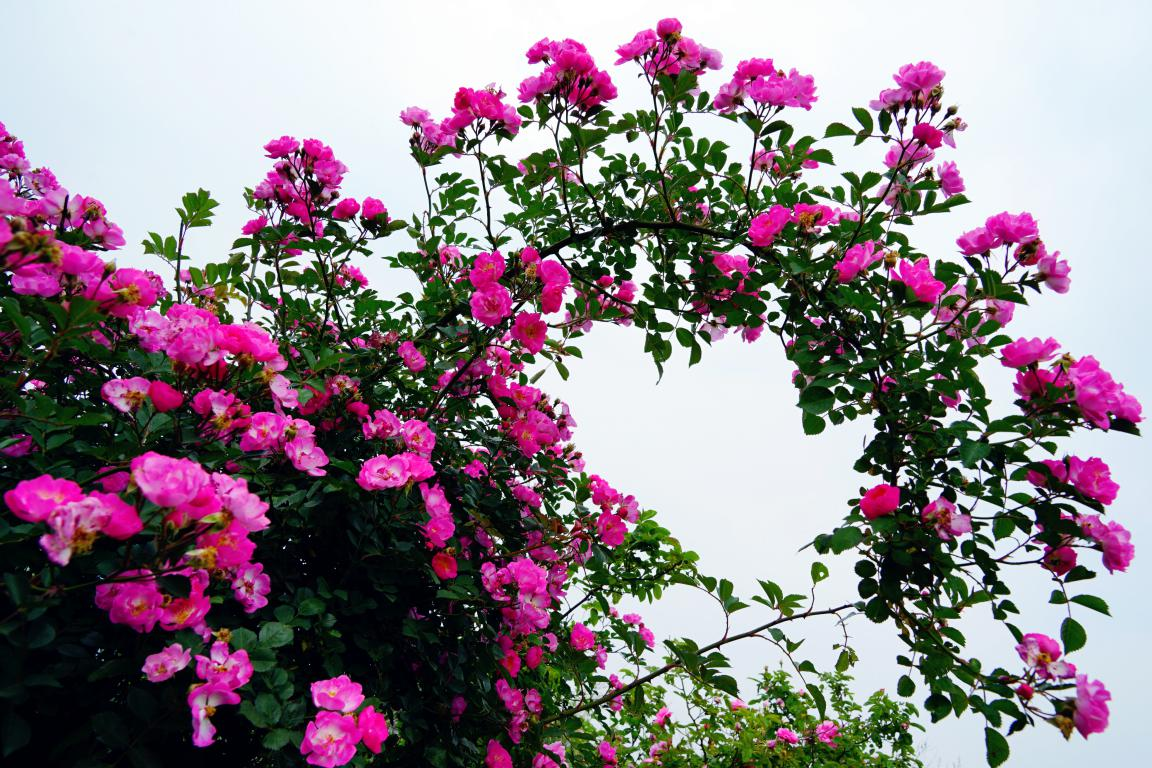 三泉湖*凤凰天桥一日游 山水名胜