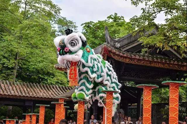 2019少年广东 夏令营