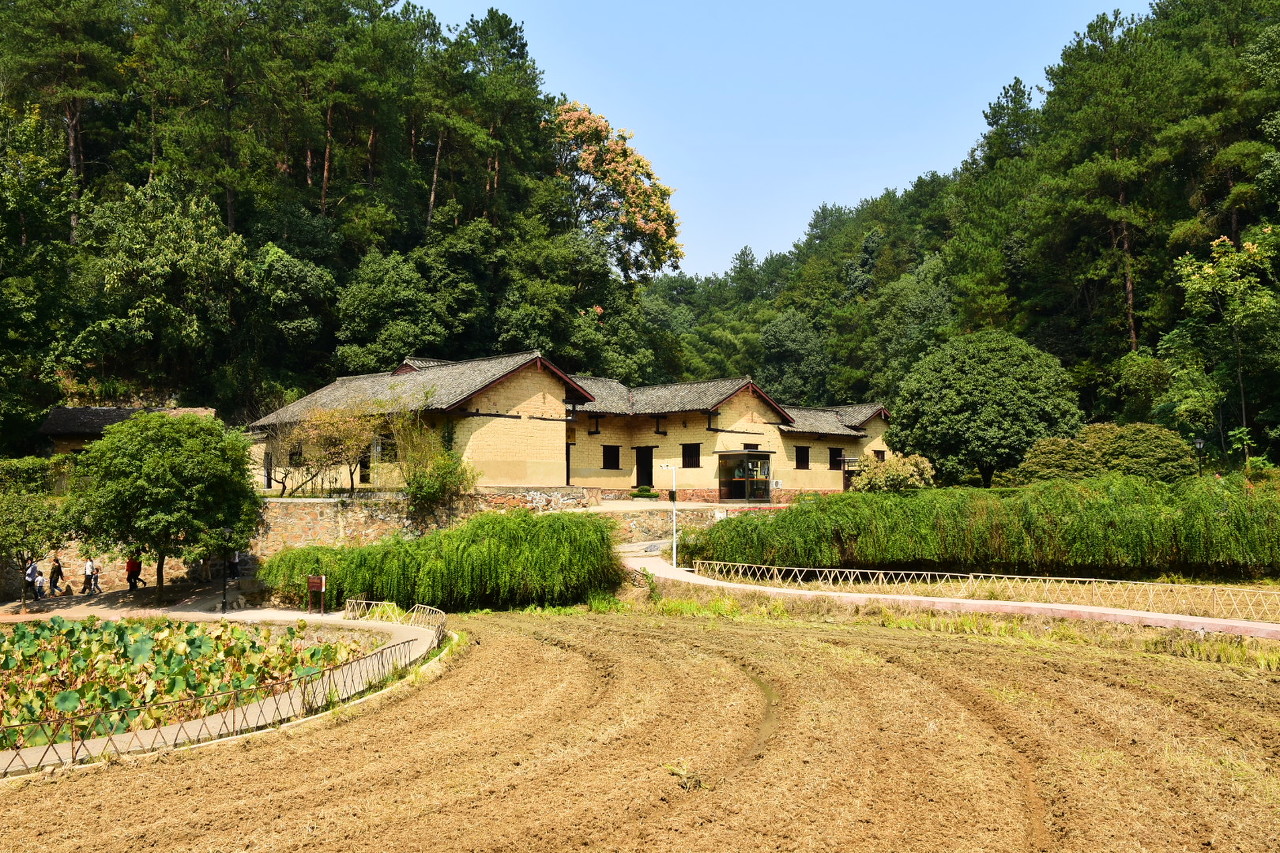 广西巴马长寿乡、德天瀑布、福建厦门鼓浪屿、武夷山、长沙韶山毛主席故居专列12日游