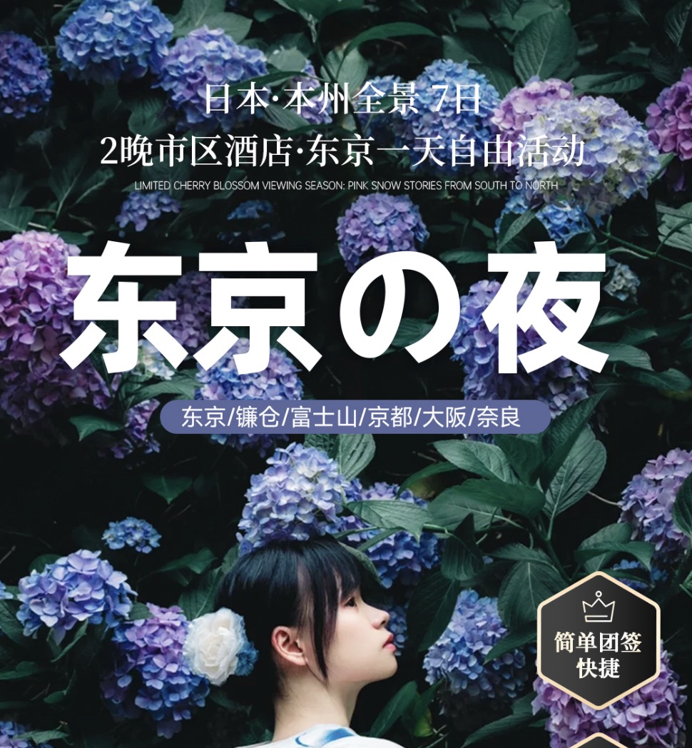 日本全景7日～東京之夜